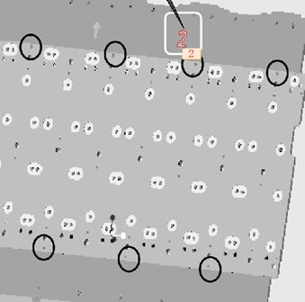 振子蘑菇頭的缺陷(圖5) 振子蘑菇頭的缺陷(圖5)